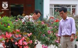 Hàng nghìn bông hoa hồng Bulgaria khoe sắc ở Công viên nước Hồ Tây